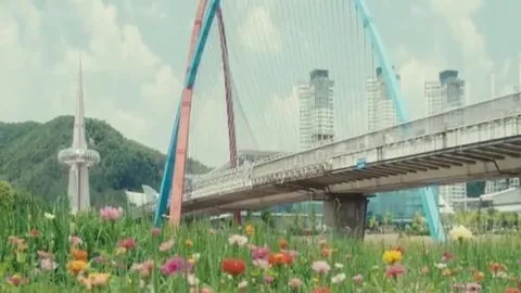 2026美甲潮流，体育资讯，盘点博伊西美甲崛起，五星级趋势